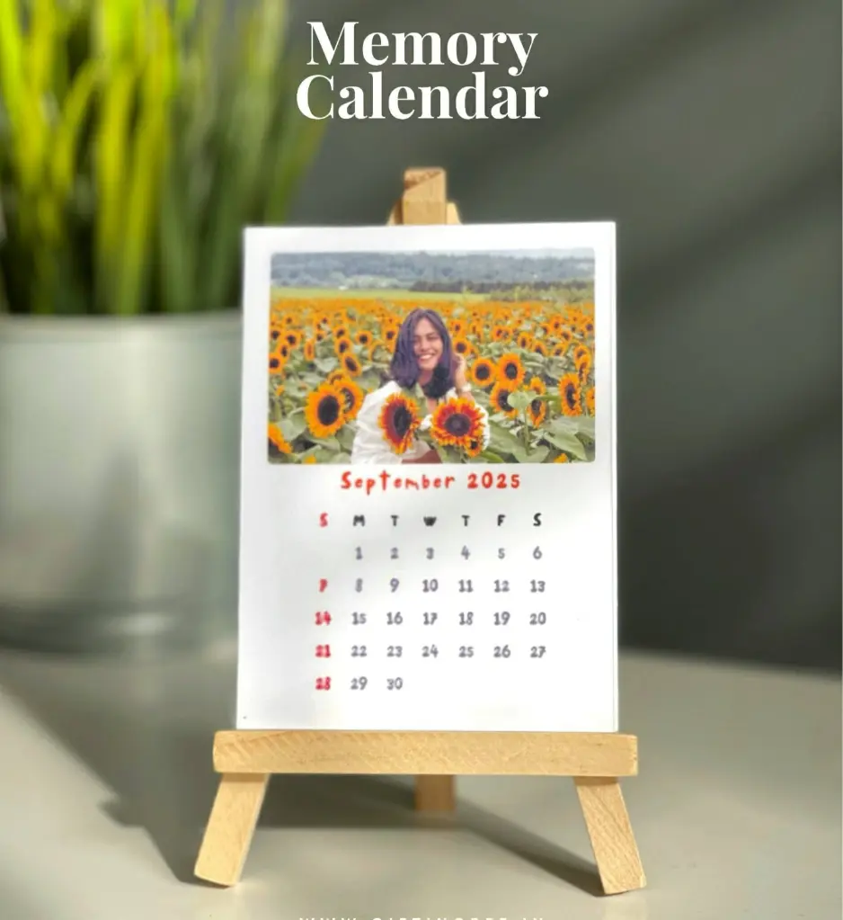 WhatsApp Image 2025-06-22 at 2.51.02 PM.webp